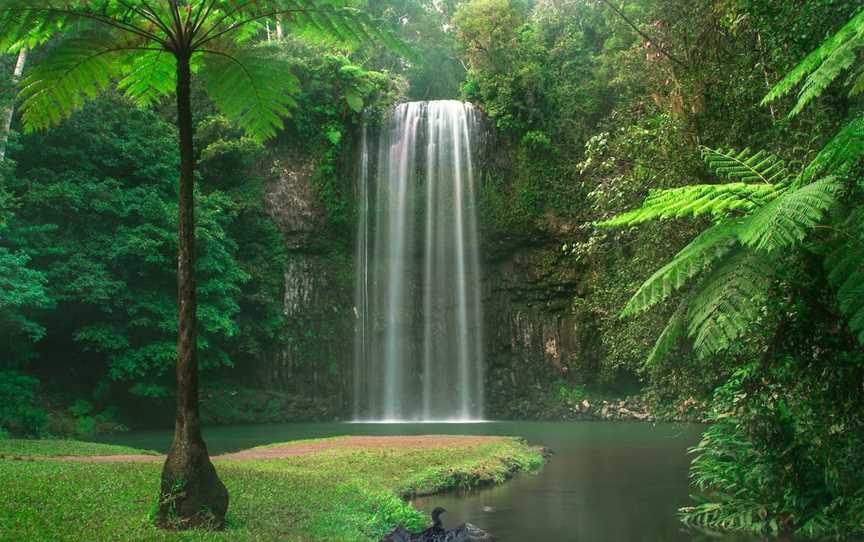 Millaa Millaa Falls, Millaa Millaa, QLD