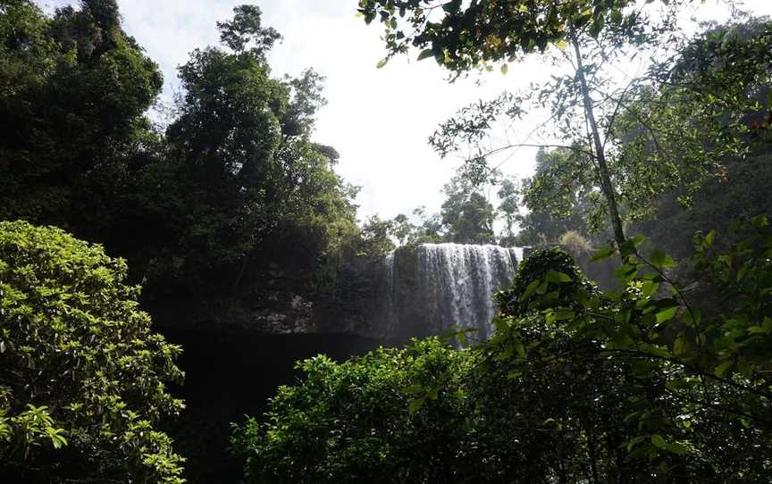 Zillie Falls, Millaa Millaa, QLD