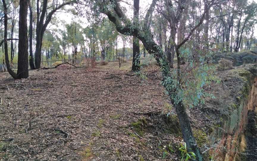 Wangaratta Common Nature Conservation Reserve, Wangaratta, VIC