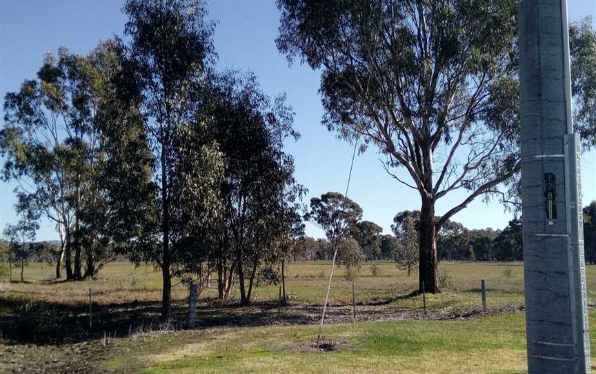 Wangaratta Common Nature Conservation Reserve, Wangaratta, VIC