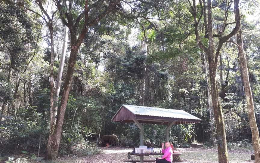 Tooloom National Park, Tooloom, NSW