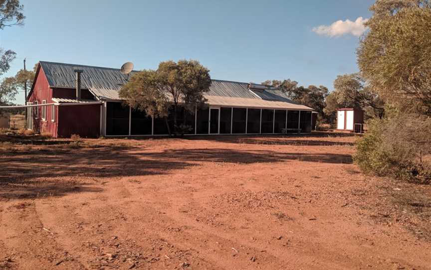 Lochern National Park, Longreach, QLD