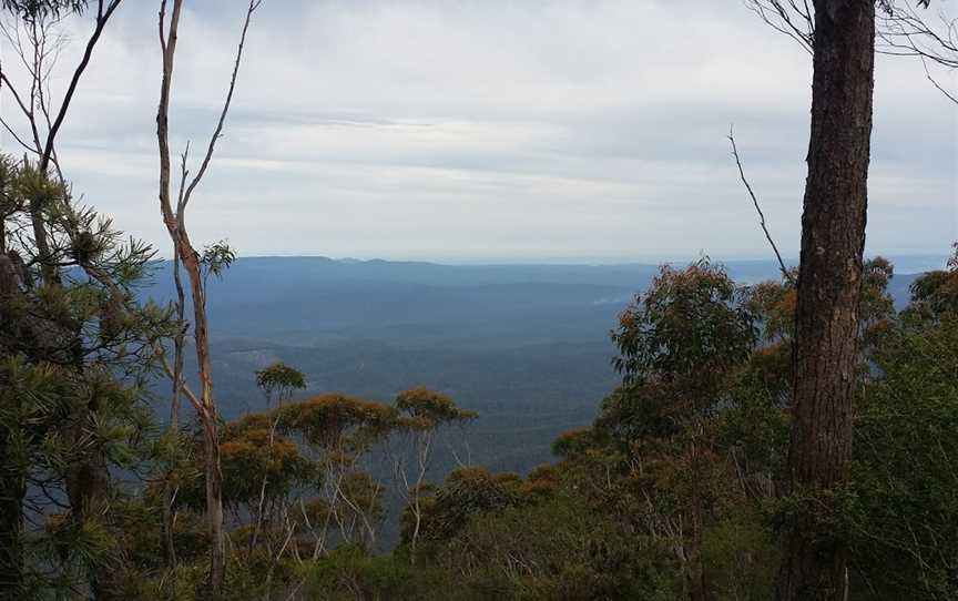 Mount Imlay National Park, Towamba, NSW