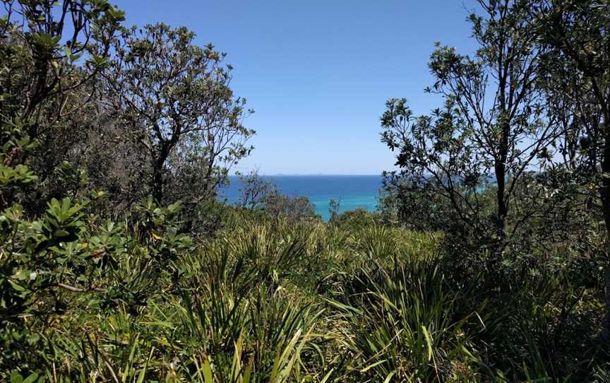 Treachery Beach, Seal Rocks, NSW