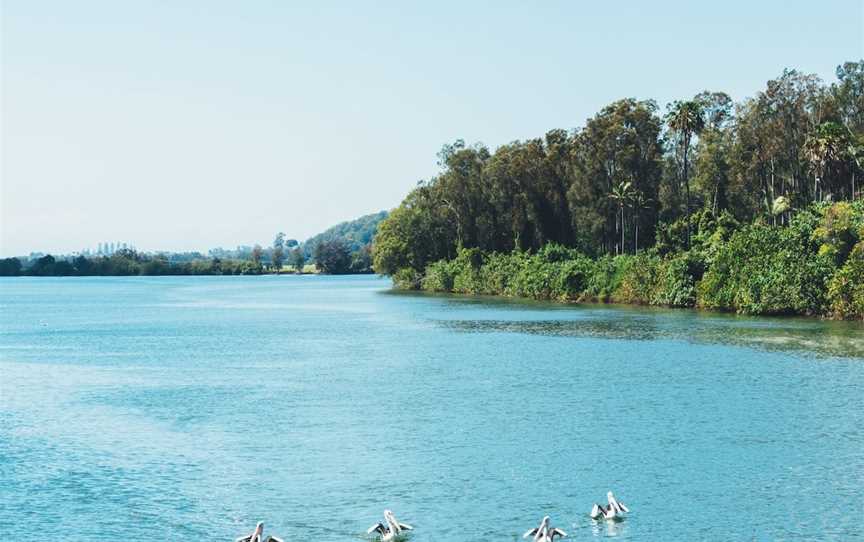 Rous River Canoe Trail, Tumbulgum, NSW