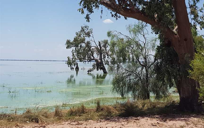 Lake Cowal, Lake Cowal, NSW