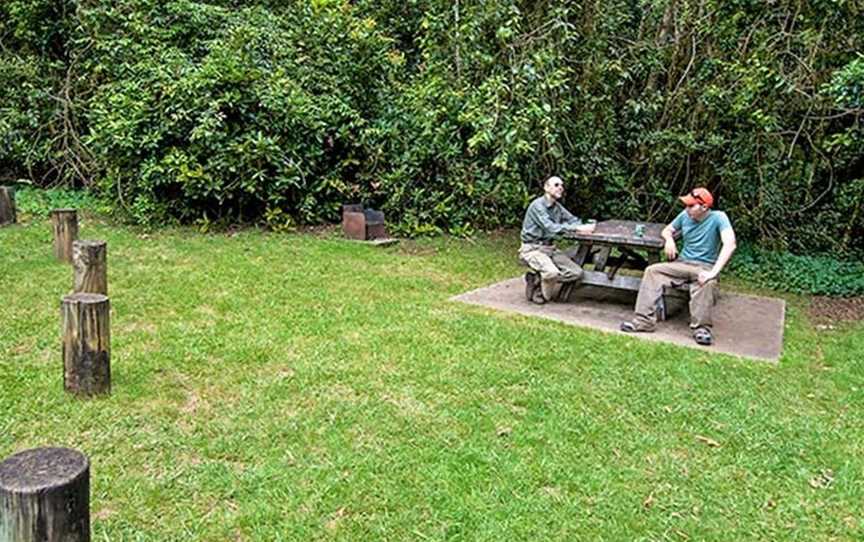 Bar Mountain picnic area, Upper Horseshoe Creek, NSW