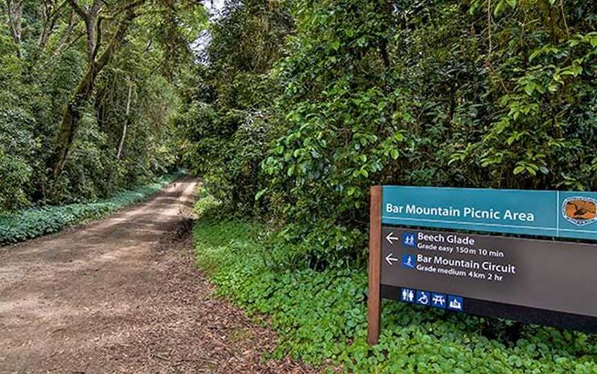 Bar Mountain picnic area, Upper Horseshoe Creek, NSW