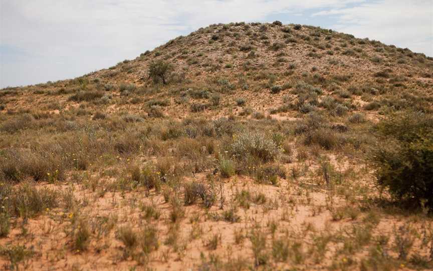 Munga-Thirri - Simpson Desert Conservation Park and Regional Reserve, Oodnadatta, SA