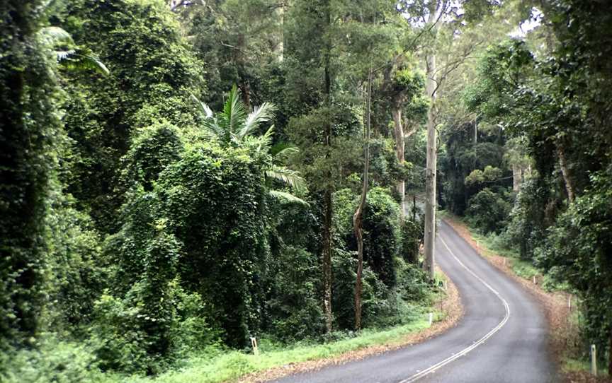 D'Aguilar National Park, The Gap, QLD