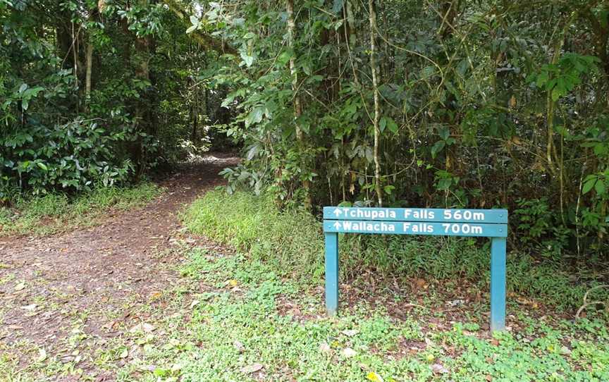 Wallicher Falls, Wooroonooran, QLD