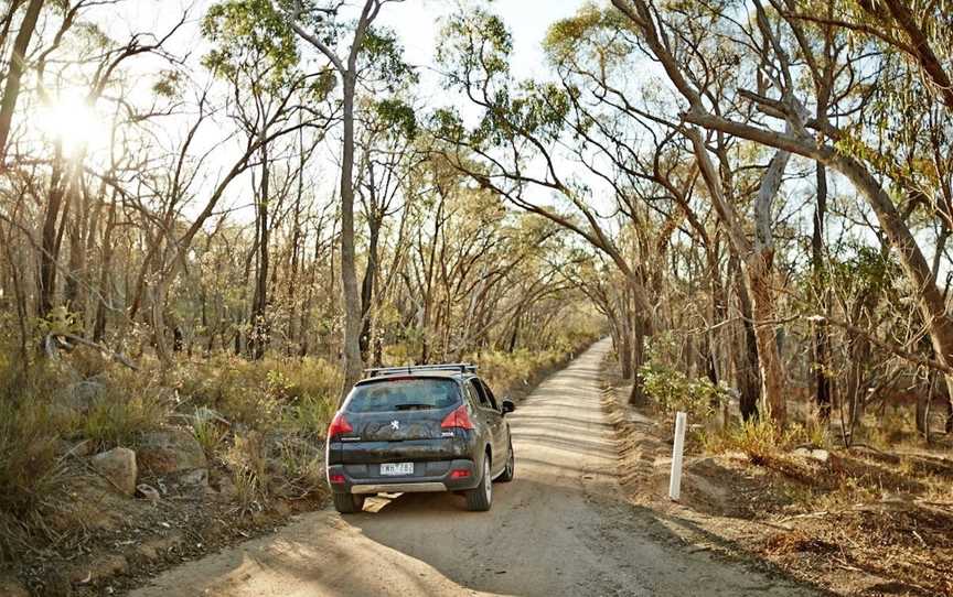 The Forest Camp, Wangandary, VIC