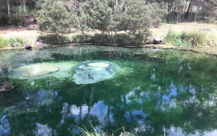 Kimberley Warm Springs, Kimberley, TAS