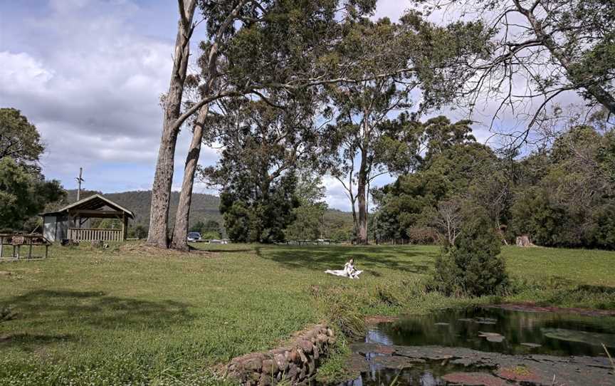 Kimberley Warm Springs, Kimberley, TAS