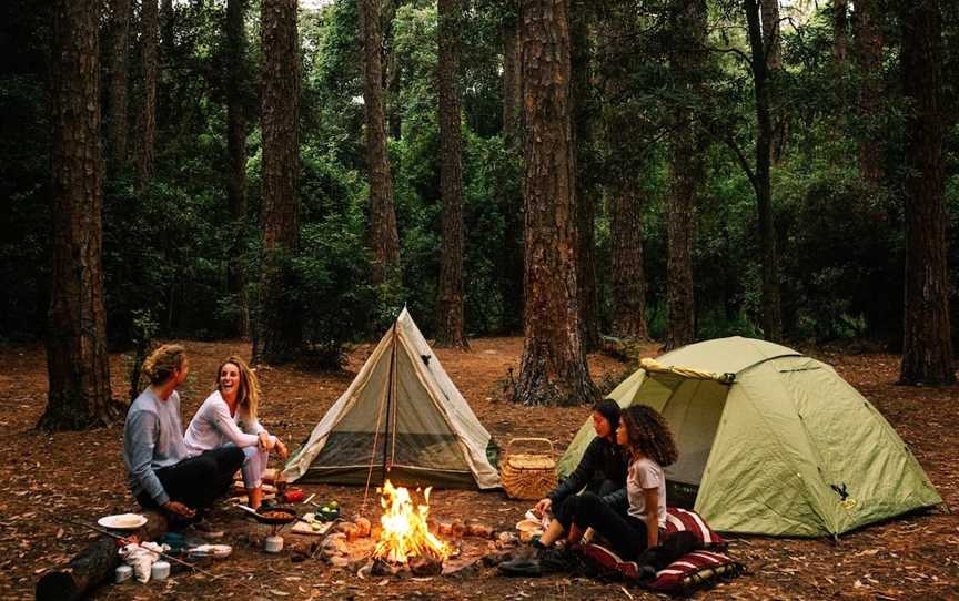 Olney State Forest - Watagan Mountains, Ravensdale, NSW