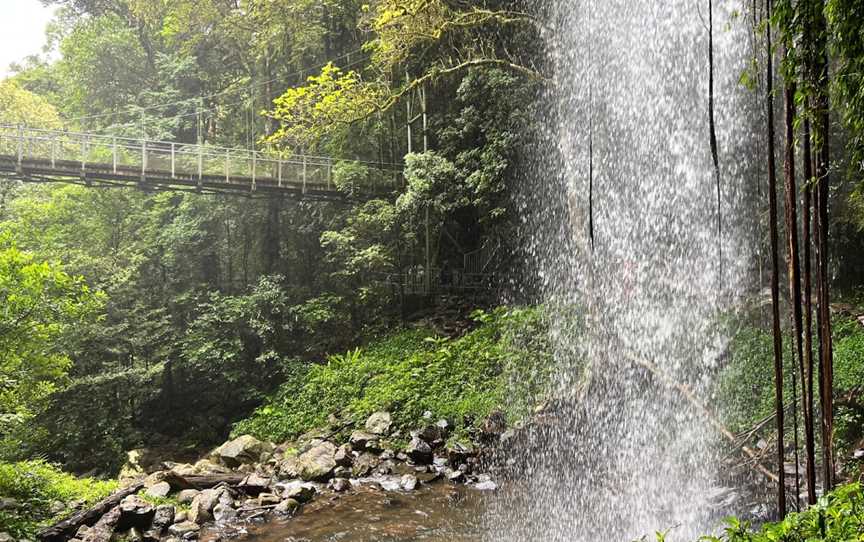 Waterfall Way Scenic Drive, Thora, NSW