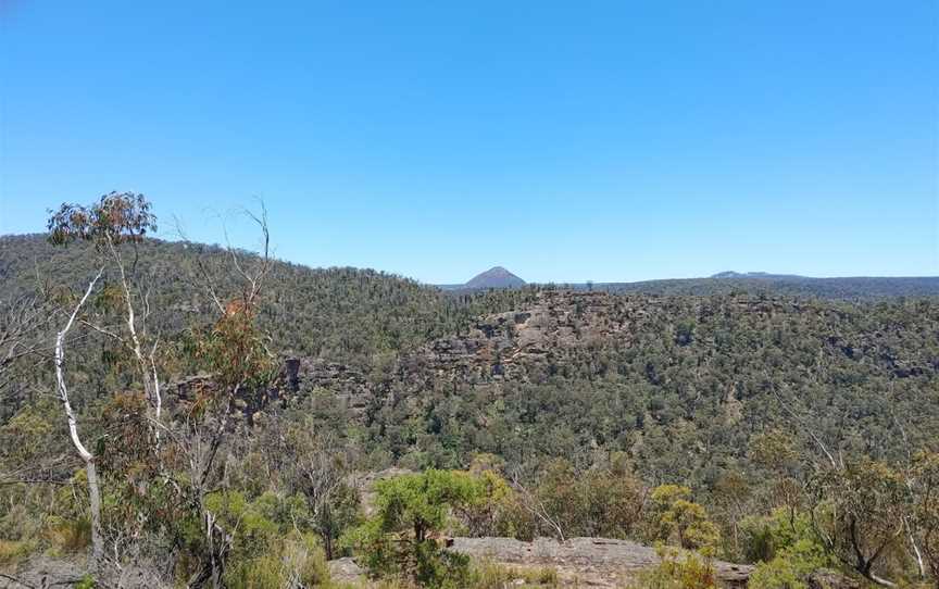 Starlights Trail, Wattle Ridge, NSW