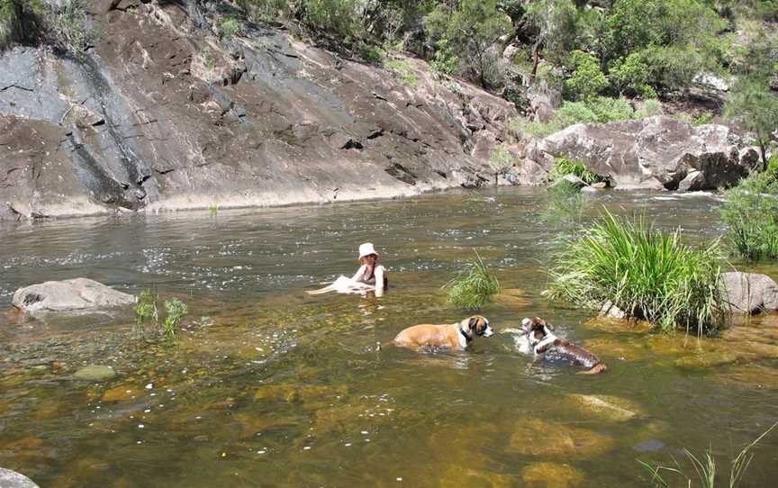 Mount Boss State Forest, Wauchope, NSW