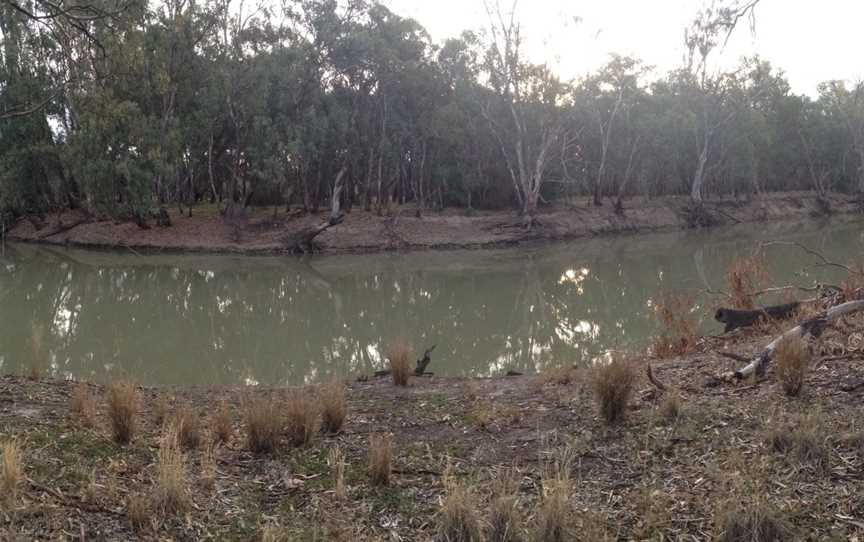 Yanga National Park, Yanga, NSW