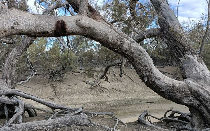 Culgoa National Park, Weilmoringle, NSW