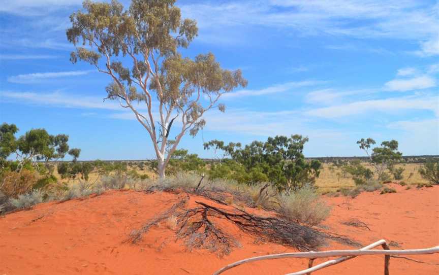 Welford National Park, Jundah, QLD