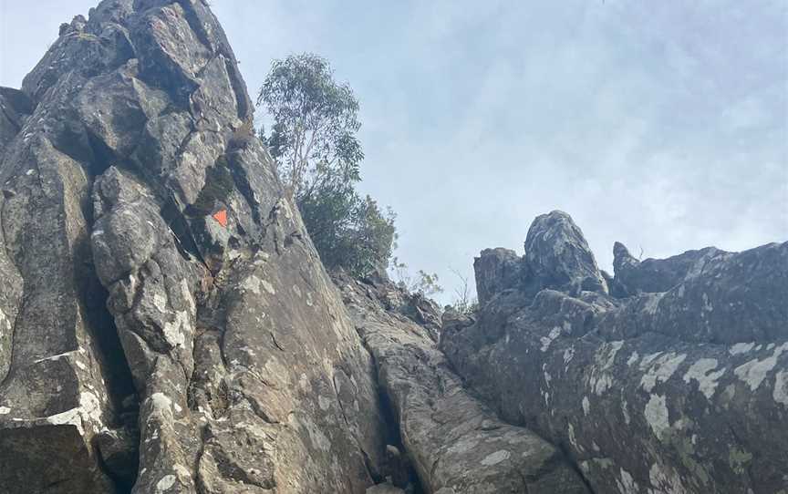 Wells Cave Track Loop, Taggerty, VIC