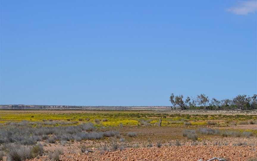 Peery Lake picnic area, Wilcannia, NSW