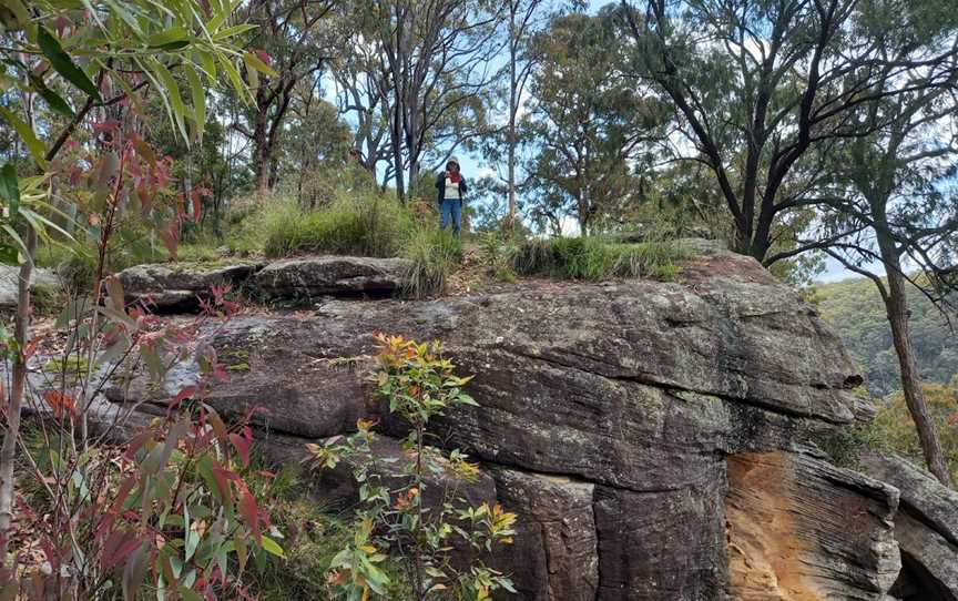 Yellomundee Regional Park, Winmalee, NSW