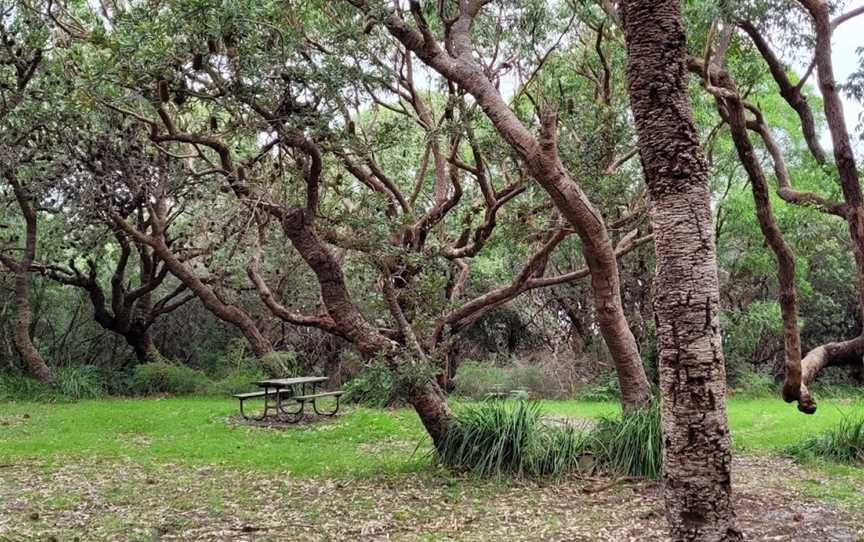 Red Point picnic area, Wollumboola, NSW