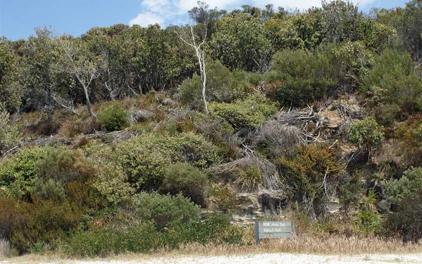 Jervis Bay National Park, Wollumboola, NSW