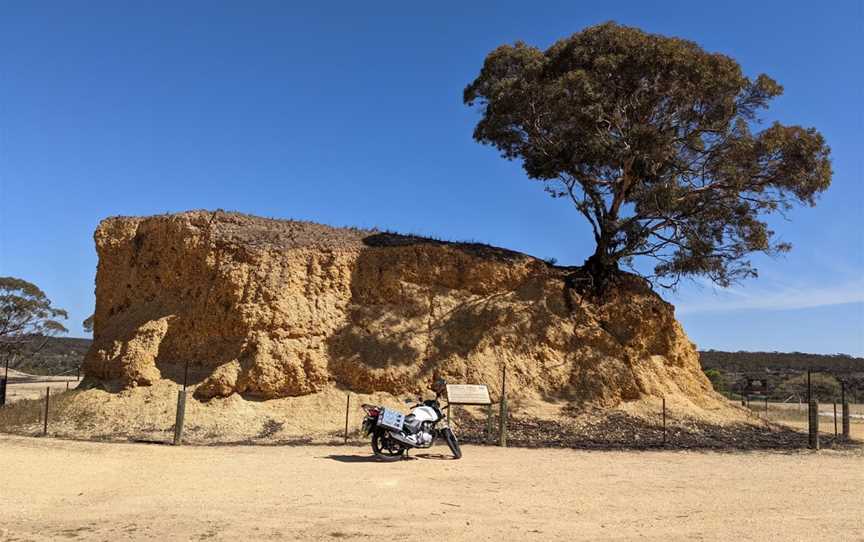 Shell Hill Reserve, Wongulla, SA