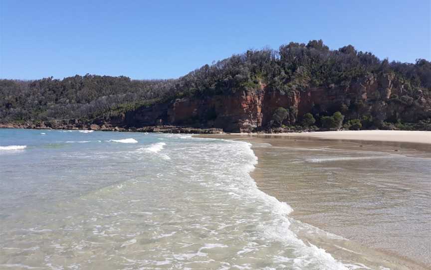 Greenglade picnic area, Wonboyn, NSW