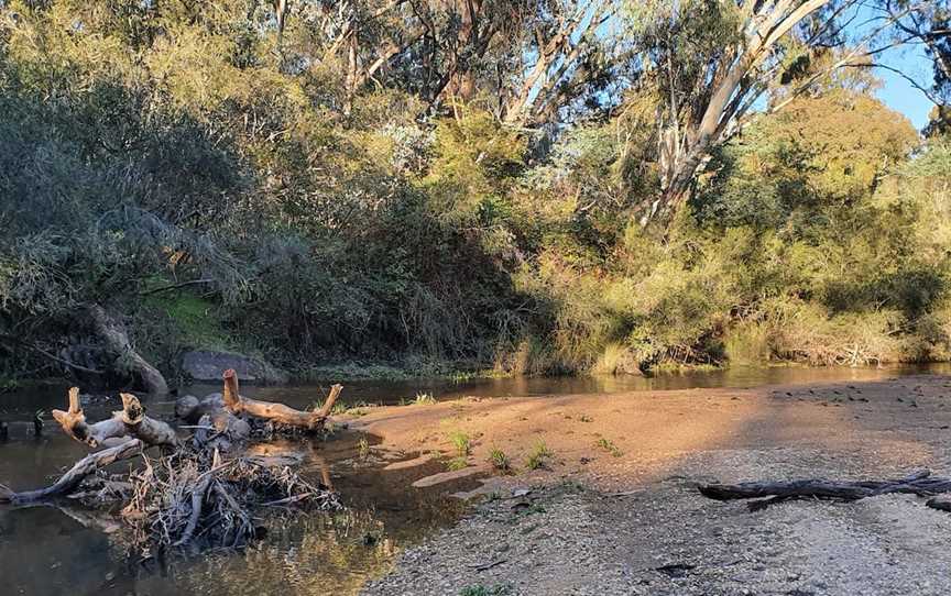 Reedy Creek - Woolshed Valley, Eldorado, VIC