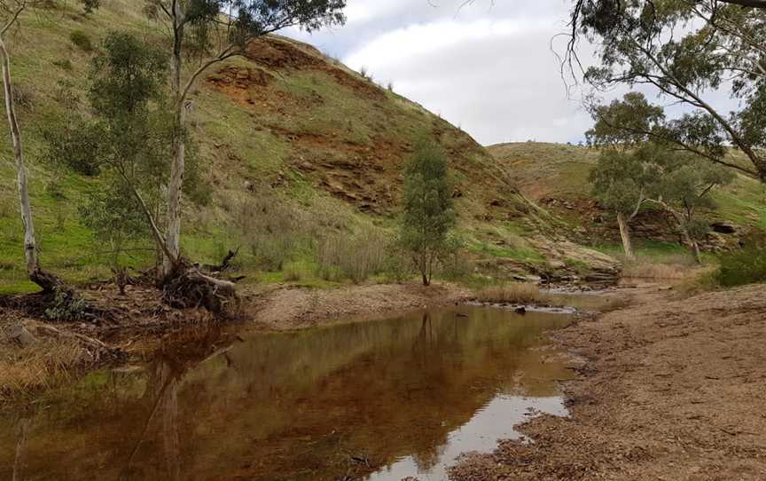 Rocks Reserve, Owen, SA