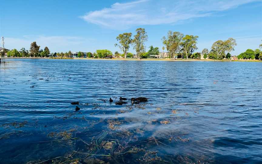 Victoria Park Lake, Shepparton, VIC