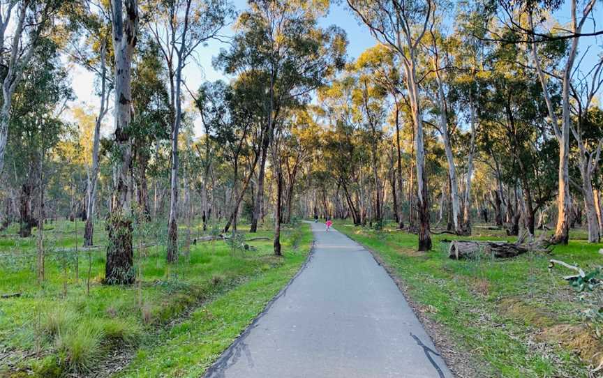 Victoria Park Lake, Shepparton, VIC