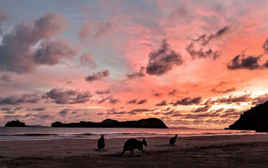 Hibiscus Coast, Cape Hillsborough, QLD