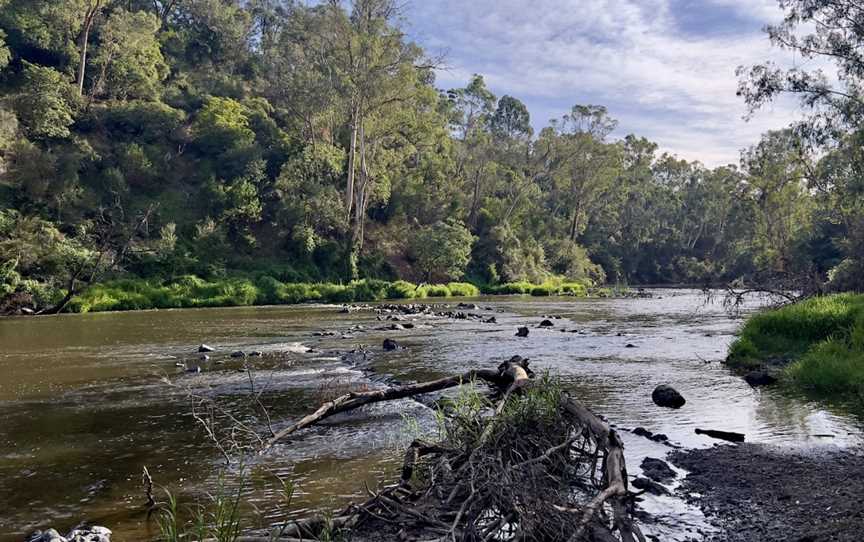 Warrandyte River Reserve, Warrandyte, VIC