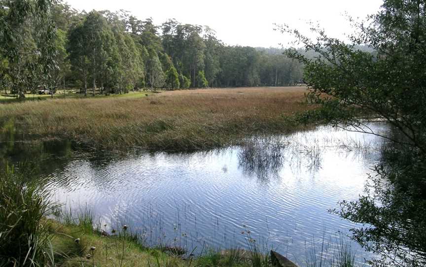 Mummel Gulf National Park, Yarrowitch, NSW