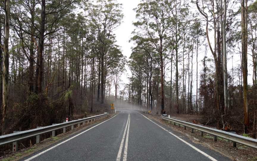 Cottan-Bimbang National Park, Yarrowitch, NSW