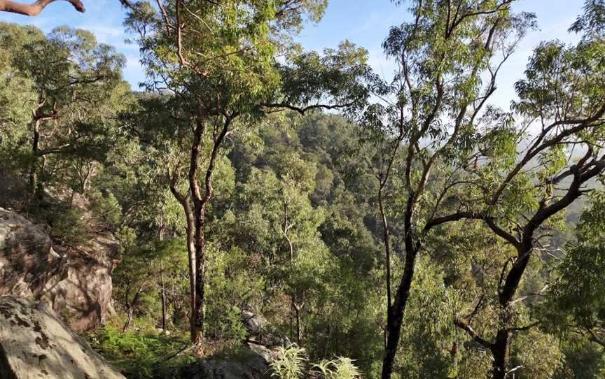 Yellow Rock lookout, Yellow Rock, NSW