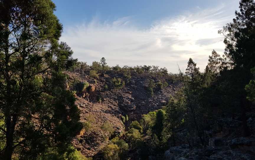 Jacks Creek picnic area, Yenda, NSW