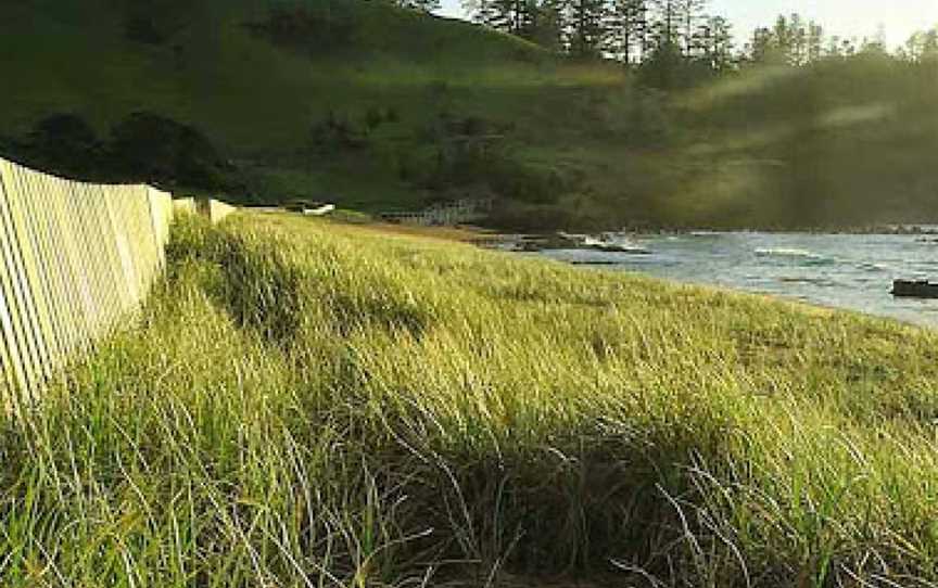 Norfolk Island National Park & Botanic Garden, Norfolk Island, AIT