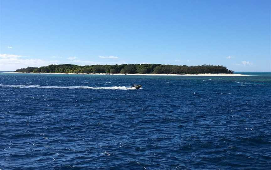 Lady Musgrave Island, Lady Musgrave Island, QLD