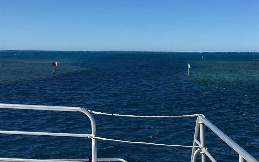 Lady Musgrave Island, Lady Musgrave Island, QLD