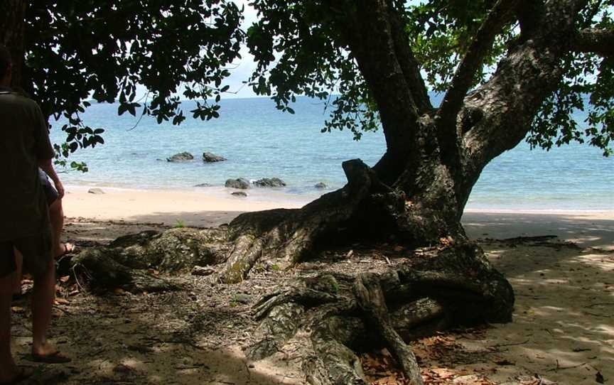 Etty Bay, Innisfail, QLD