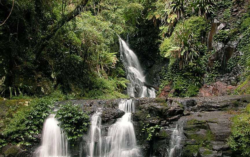 Lamington National Park, Binna Burra, NSW