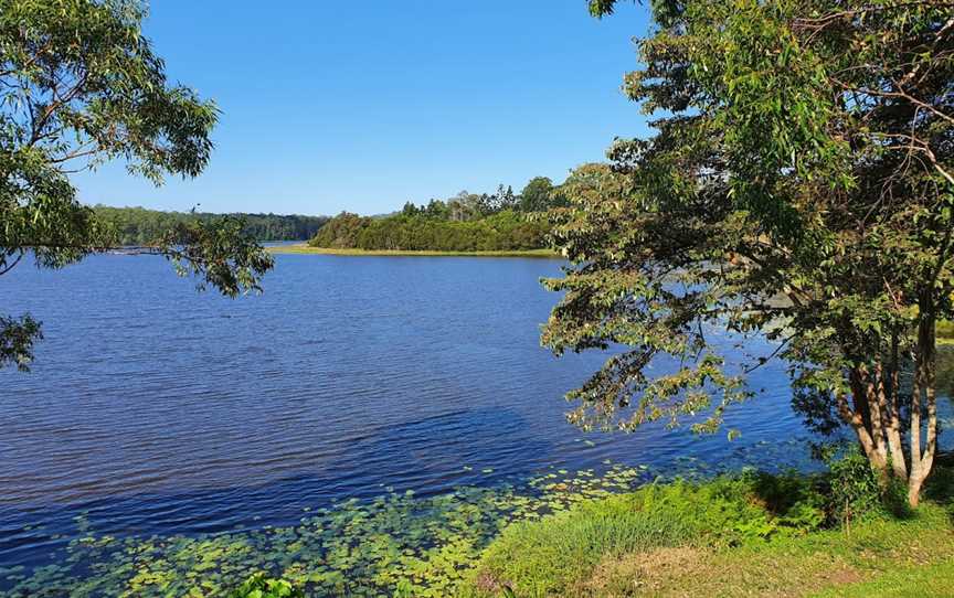 Noosa Botanic Gardens, Cooroy, QLD