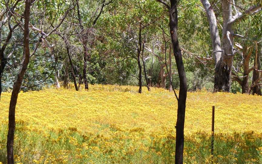 Belair National Park, Belair, SA