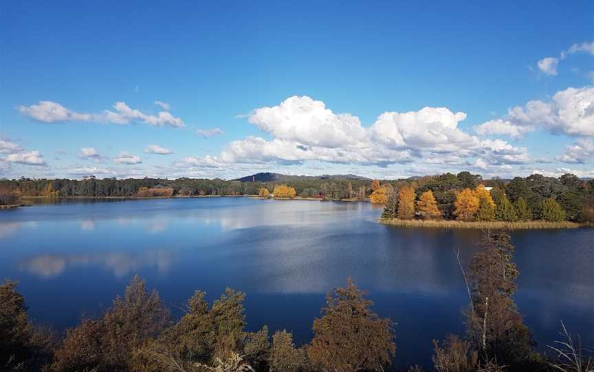 Black Mountain Nature Park, Mitchell, ACT